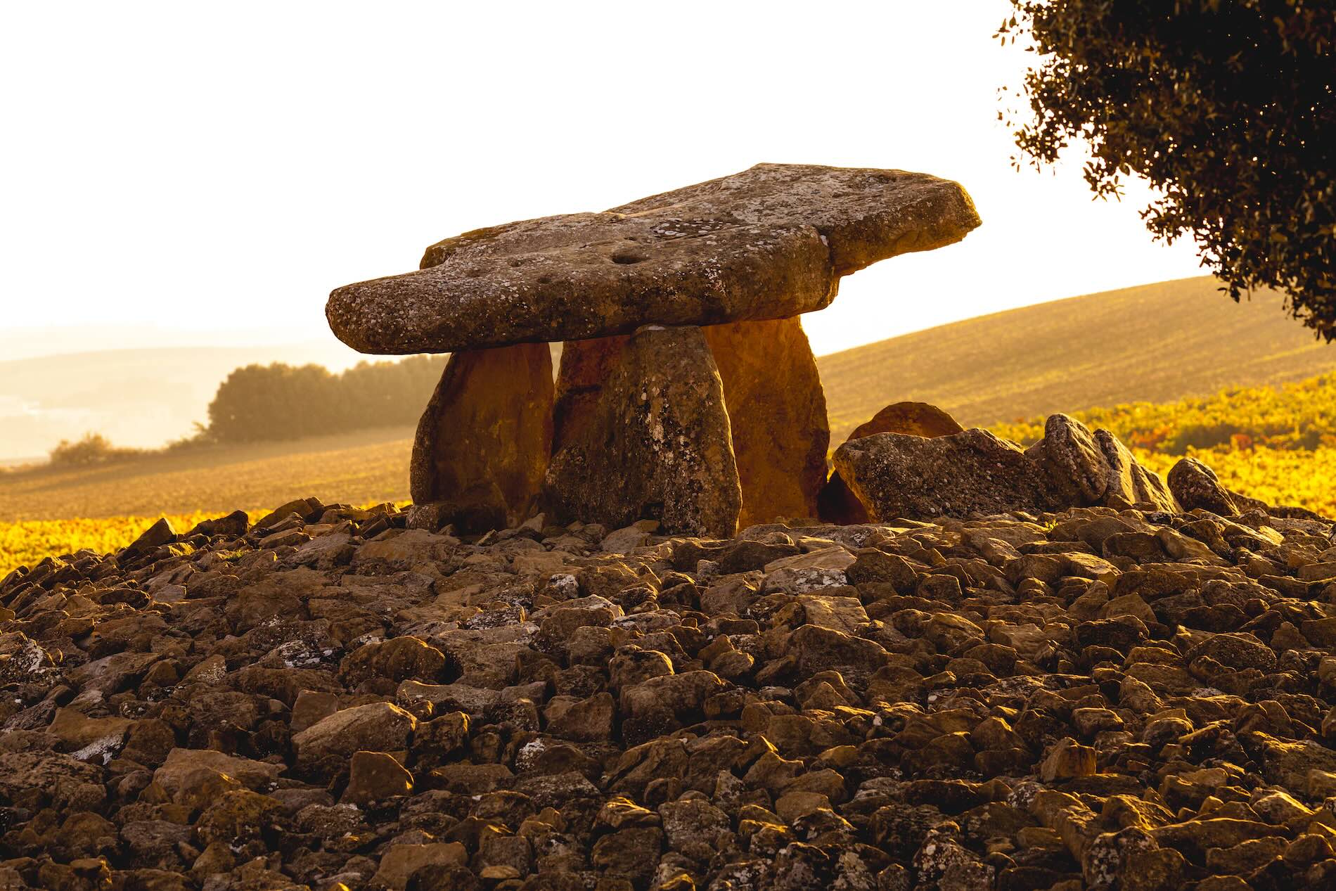 Lar de Paula: el entorno de la Rioja Alavesa